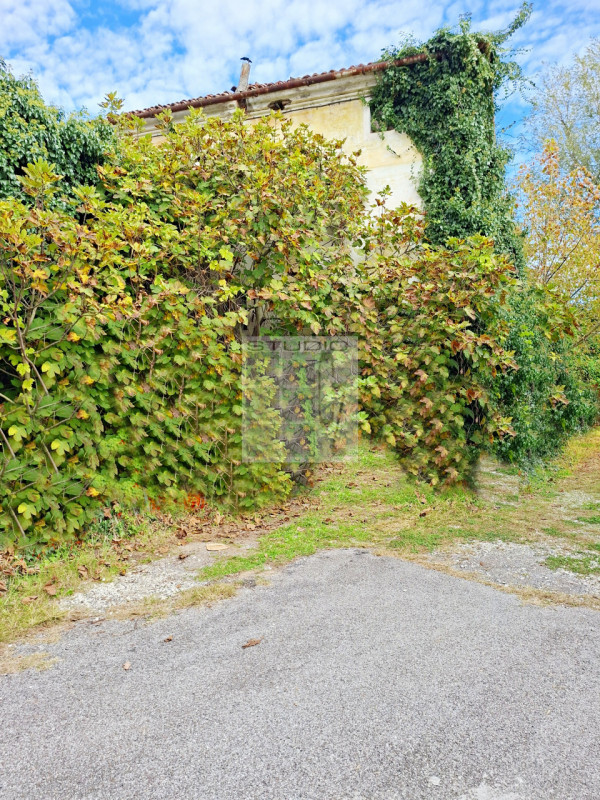 Ecco la casa che stavi cercando?
Cinque motivi per cui questa potrebbe essere la tua casa ideale!...