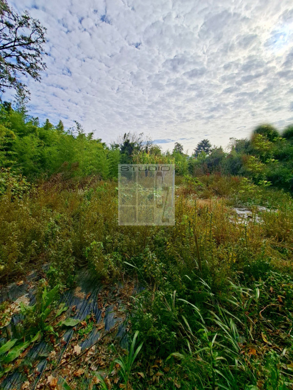 Ecco la casa che stavi cercando?
Cinque motivi per cui questa potrebbe essere la tua casa ideale!...