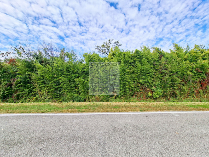 Ecco la casa che stavi cercando?
Cinque motivi per cui questa potrebbe essere la tua casa ideale!...