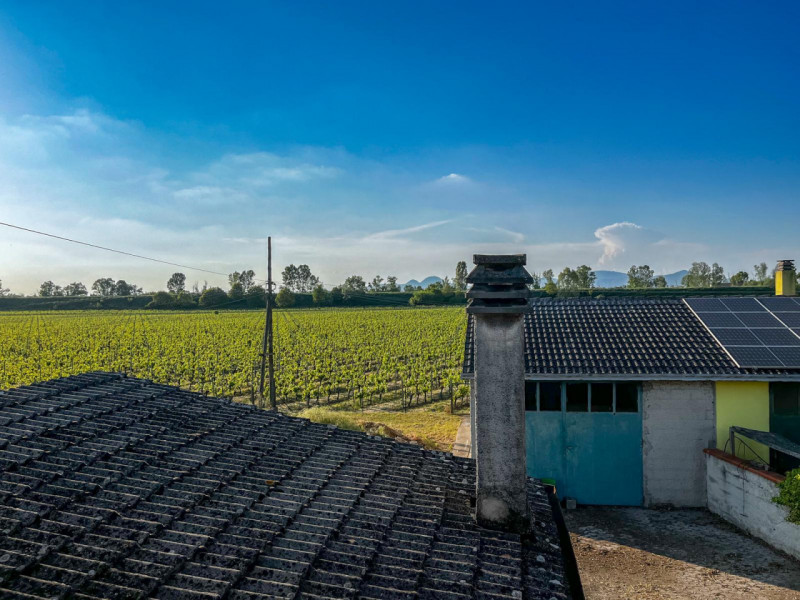 (Per INFO Vittorio 3517343301) Scopri la tua nuova casa a Stanghella: indipendenza, spazio e pote...