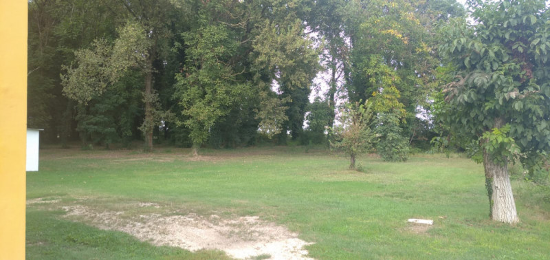 Scopri questa splendida casa singola situata nella campagna del comune di Guarda Veneta. Con una ...