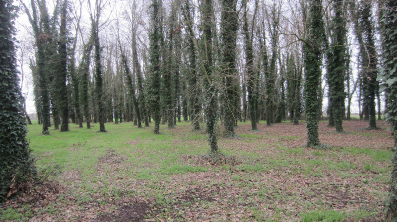 Scopri questa splendida casa singola situata nella campagna del comune di Guarda Veneta. Con una ...