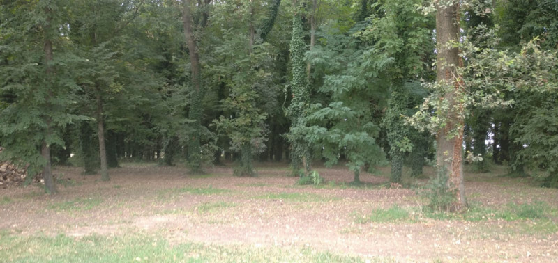 Scopri questa splendida casa singola situata nella campagna del comune di Guarda Veneta. Con una ...