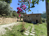 Natursteinhaus in privater Panoramalage, Vinci Florenz