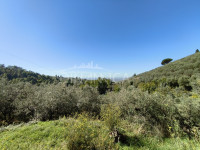 Natursteinhaus in privater Panoramalage, Vinci Florenz