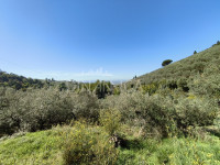 Natursteinhaus in privater Panoramalage, Vinci Florenz