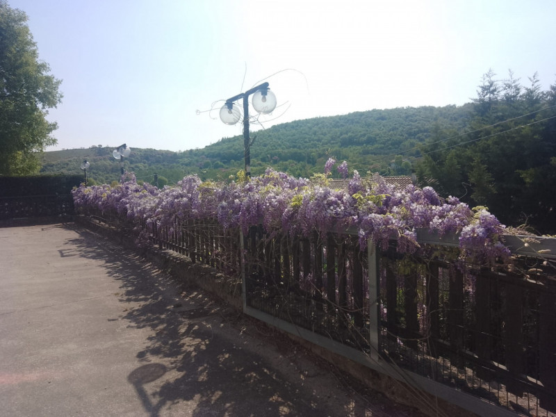 Rif. RIST06 - Vendesi ottima opportunità per avviare un’attività di ristorazione e ospitalità in ...