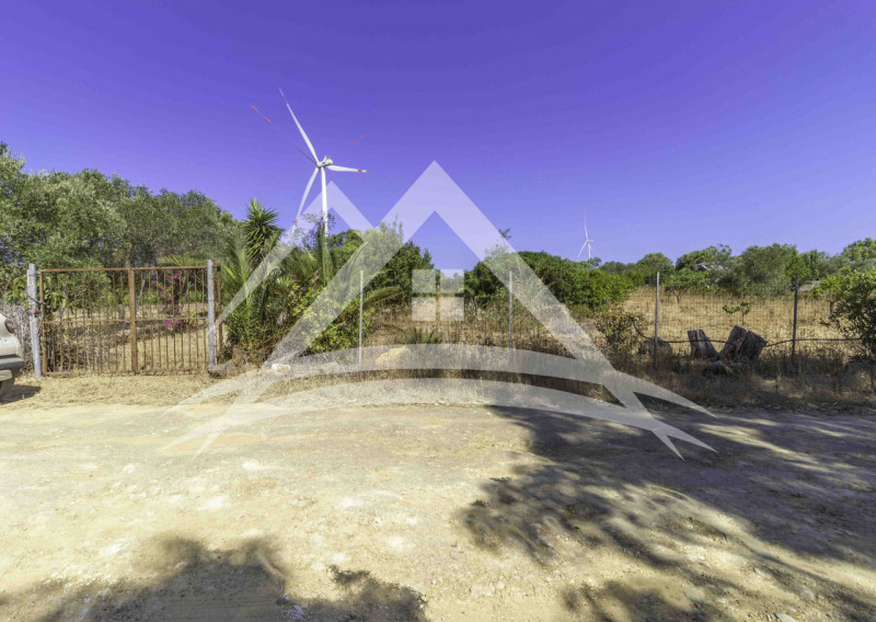 Sassari Vendita Terreno terreno agricolo/coltura