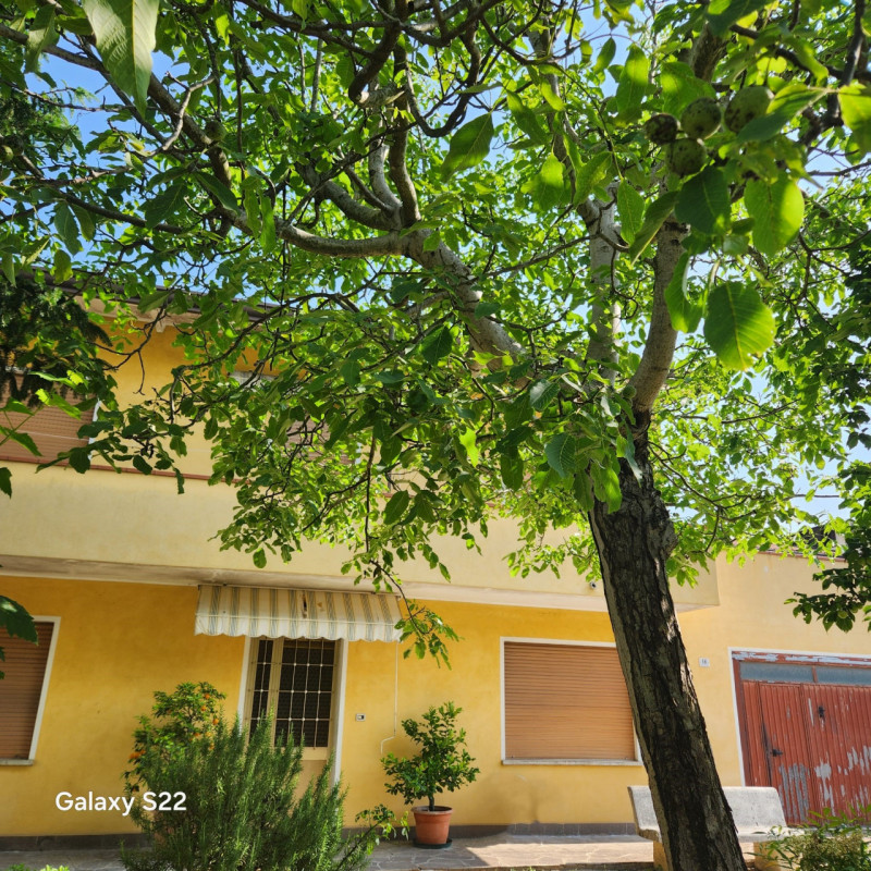 PIANIGA-Mellaredo centro-: situata nel centro di Mellaredo, questa casa singola con una superfici...