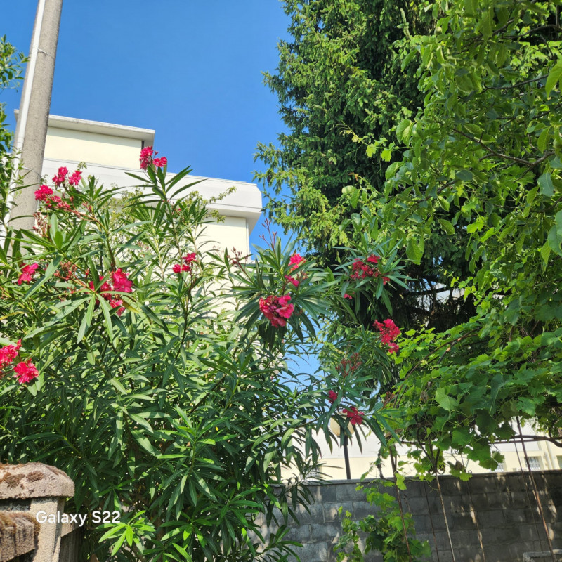 PIANIGA-Mellaredo centro-: situata nel centro di Mellaredo, questa casa singola con una superfici...