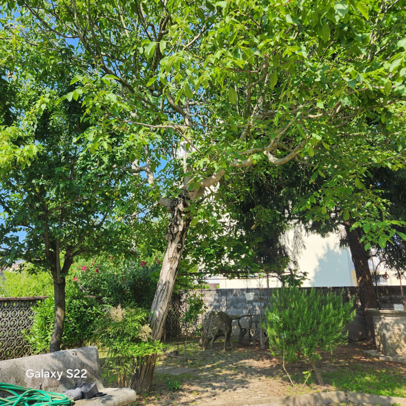 PIANIGA-Mellaredo centro-: situata nel centro di Mellaredo, questa casa singola con una superfici...