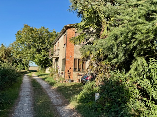 San Bellino Vendita Casa singola terratetto