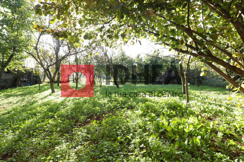 CASA SINGOLA CON GIARDINO VENTURALI - RIF."UV66"

L'agenzia immobiliare IDHEA ha il piacere di pr...