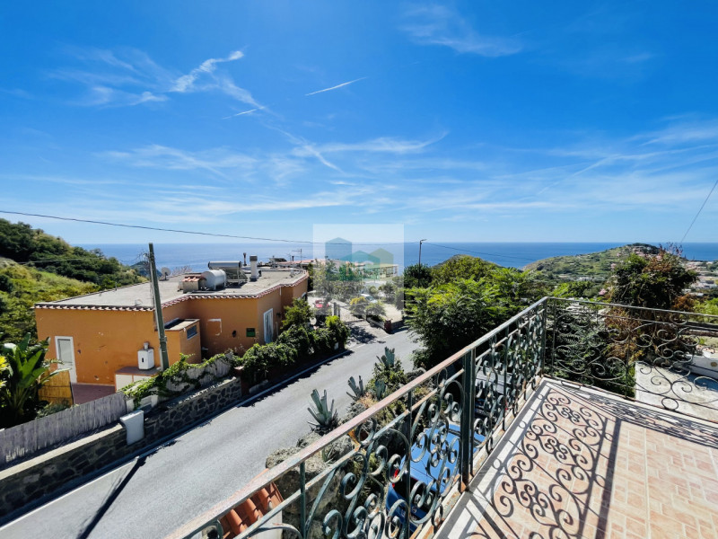 In una delle zone più affascinanti di Ischia, precisamente tra Ciglio e Panza nel comune di Forio...