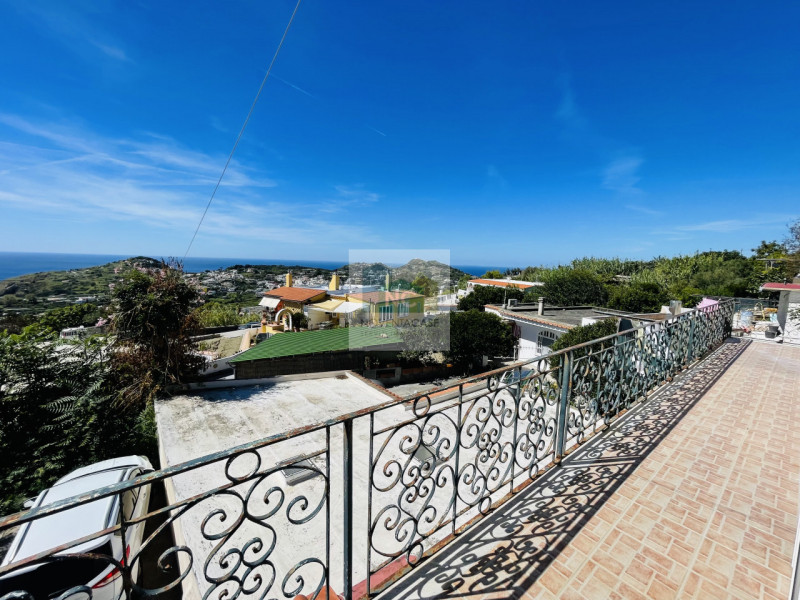 In una delle zone più affascinanti di Ischia, precisamente tra Ciglio e Panza nel comune di Forio...