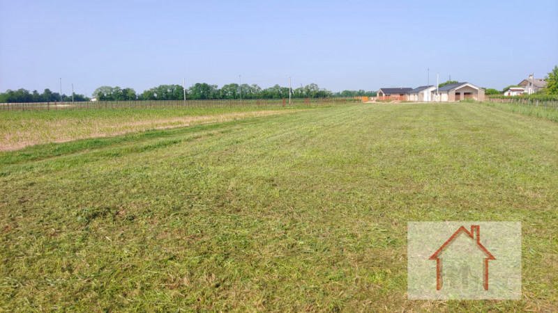 Giavera del Montello Vendita Terreno terreno edificabile residenziale