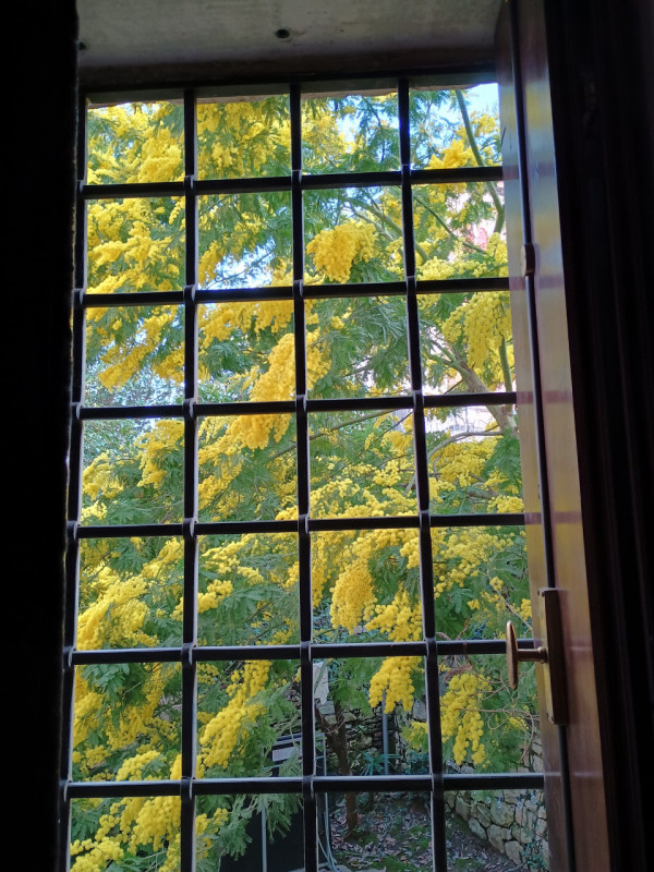 AMPIO TRICAMERE IN CONTESTO DI EX CONVENTO NEL CENTRO STORICO DI VICENZA - RIF. 8292 - EURO 395.0...