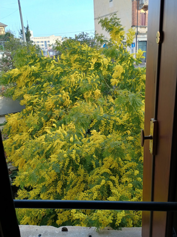 AMPIO TRICAMERE IN CONTESTO DI EX CONVENTO NEL CENTRO STORICO DI VICENZA - RIF. 8292 - EURO 395.0...