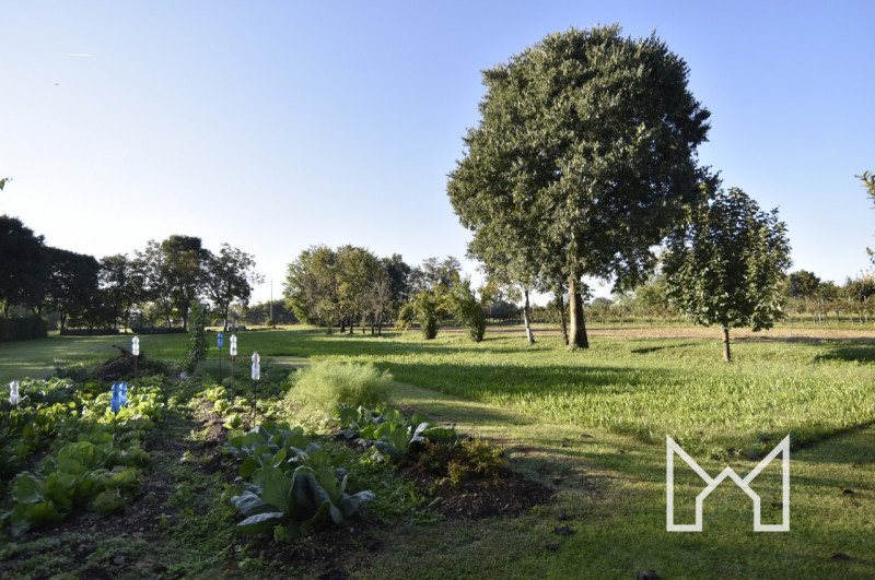 RAMON DI LORIA- In zona immersa nel verde comoda al centro paese, proponiamo abitazione indipende...