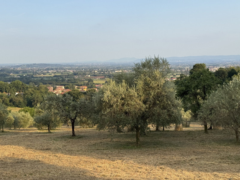 ALTO VICENTINO: a 5 minuti da Thiene e in splendida posizione panoramica nelle Colline delle Breg...