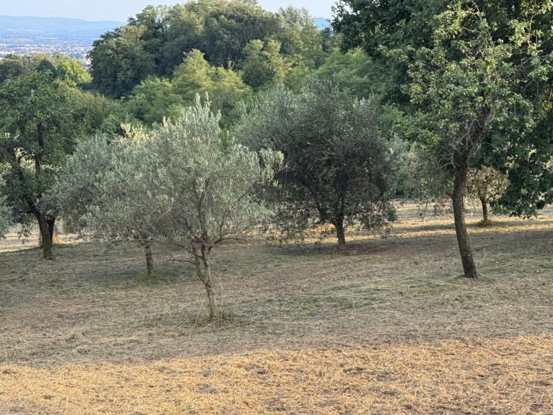 ALTO VICENTINO: a 5 minuti da Thiene e in splendida posizione panoramica nelle Colline delle Breg...