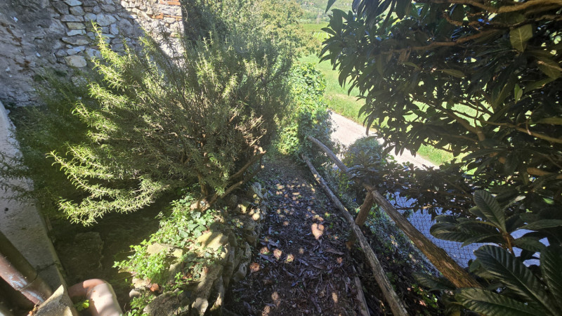 Rif. RU60 - Proponiamo in vendita deliziosa proprietà composta da abitazione principale, fienile,...