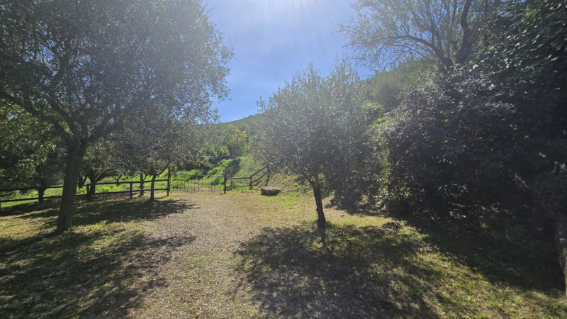 Rif. RU60 - Proponiamo in vendita deliziosa proprietà composta da abitazione principale, fienile,...