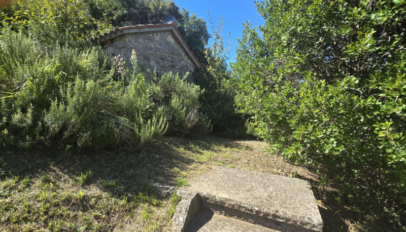 Rif. RU60 - Proponiamo in vendita deliziosa proprietà composta da abitazione principale, fienile,...