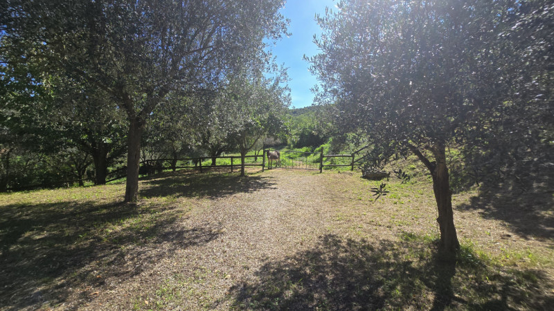 Rif. RU60 - Proponiamo in vendita deliziosa proprietà composta da abitazione principale, fienile,...