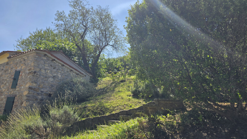 Rif. RU60 - Proponiamo in vendita deliziosa proprietà composta da abitazione principale, fienile,...