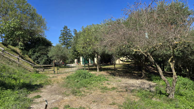 Rif. RU60 - Proponiamo in vendita deliziosa proprietà composta da abitazione principale, fienile,...