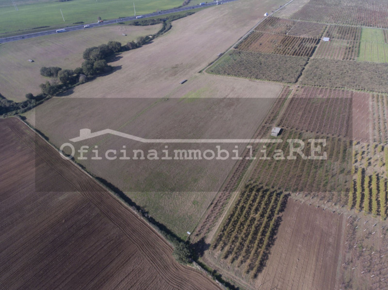 CONCHE DI CODEVIGO. Vendesi Terreno agricolo di 30 ha in corpo unico. Comodo accesso dalla strada...