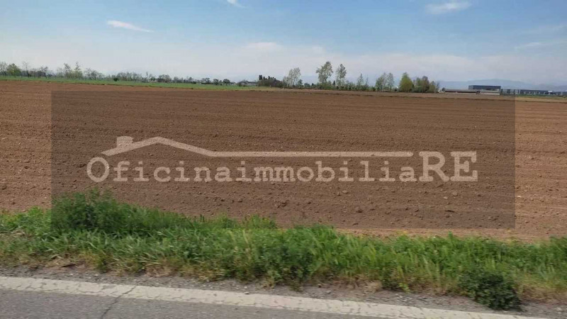 CONCHE DI CODEVIGO. Vendesi Terreno agricolo di 30 ha in corpo unico. Comodo accesso dalla strada...