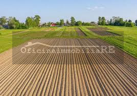 CONCHE DI CODEVIGO. Vendesi Terreno agricolo di 30 ha in corpo unico. Comodo accesso dalla strada...