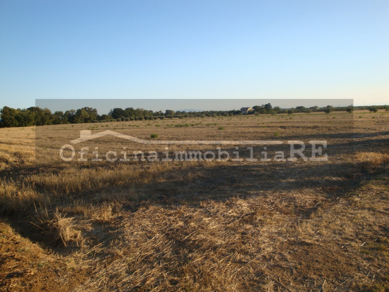 CONCHE DI CODEVIGO. Vendesi Terreno agricolo di 30 ha in corpo unico. Comodo accesso dalla strada...