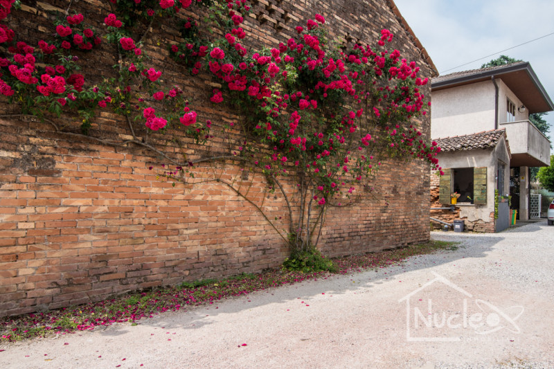 Stanghella, in una corte residenziale tranquilla a due passi dalla SS16, al confine con Solesino,...