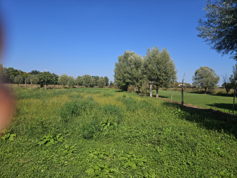 In un zona tranquilla del Comune di Sant'Urbano, precisamente nella frazione di Carmignano, propo...
