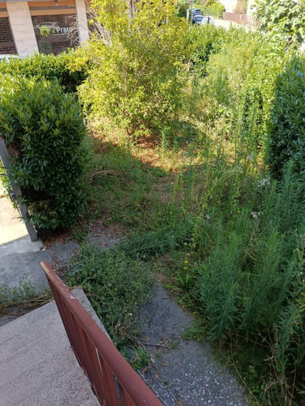 1 CAMERA INDIPENDENTE CON GIARDINO A BRUSEGANA €.105.000 - rif.FC005A2

Scopri il tuo nuovo rifug...