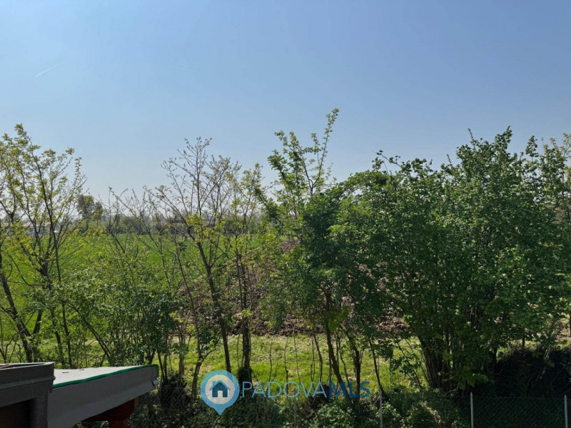 Immobile in esclusiva al Gruppo Padova MLS
Taggi: Porzione di bifamiliare al grezzo in provincia ...