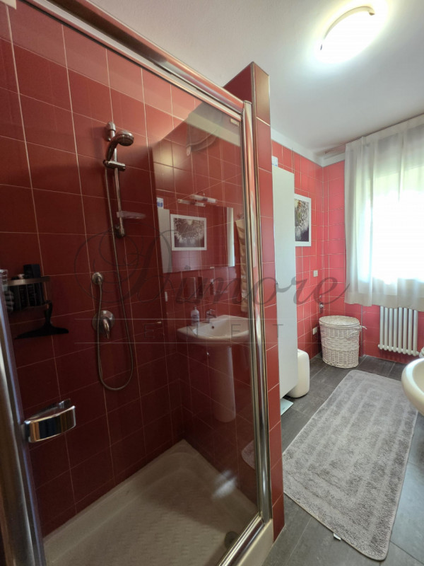 NOVENTA: APPARTAMENTO AL PIANO TERRA CON GIARDINO
In ottimo quartiere a Noventana proponiamo intr...