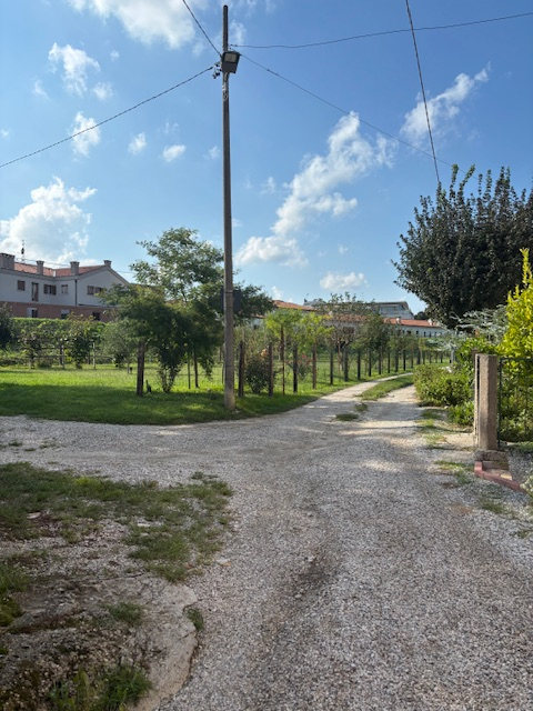 Limena: casa accostata completamente da ristrutturare sviluppata su più livelli ( piano primo zon...