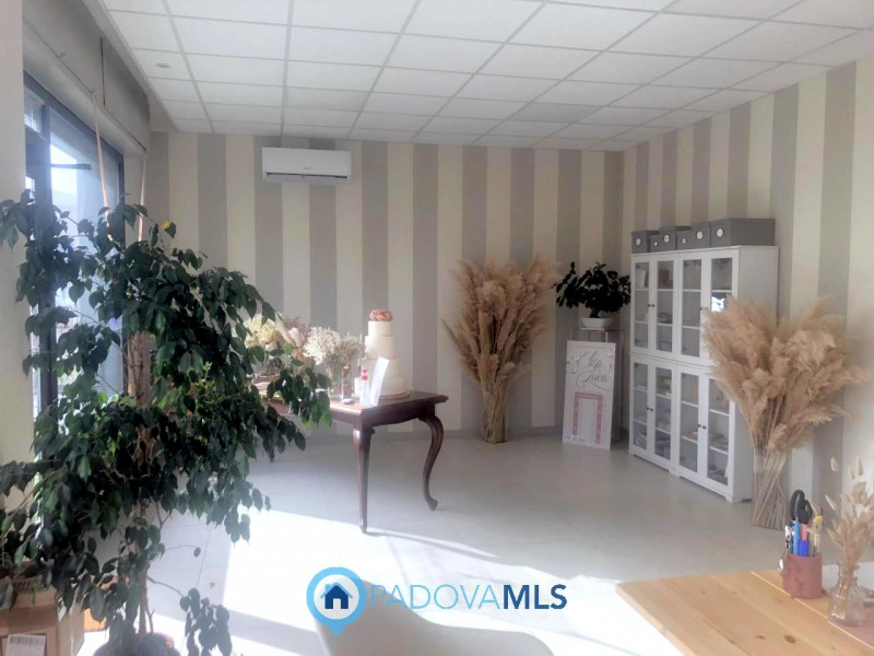 Immobile in esclusiva al Gruppo Padova MLS

Padova - zona Pontevigodarzere: a pochi metri dal cap...