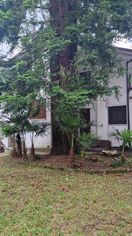 Casa a Schiera in Vendita a Spinea