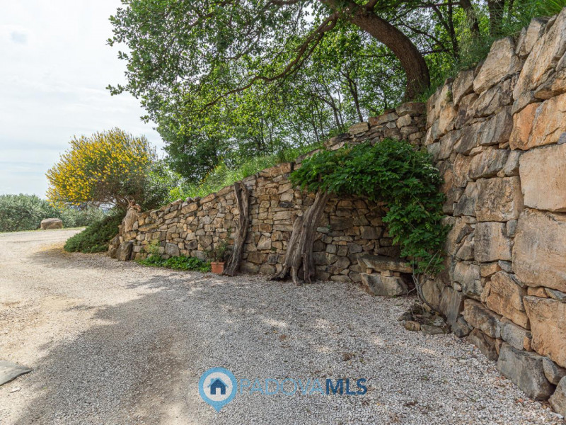 Immobile in esclusiva al Gruppo Padova MLS

Arquà Petrarca 

Immerso nel verde e affacciato su un...