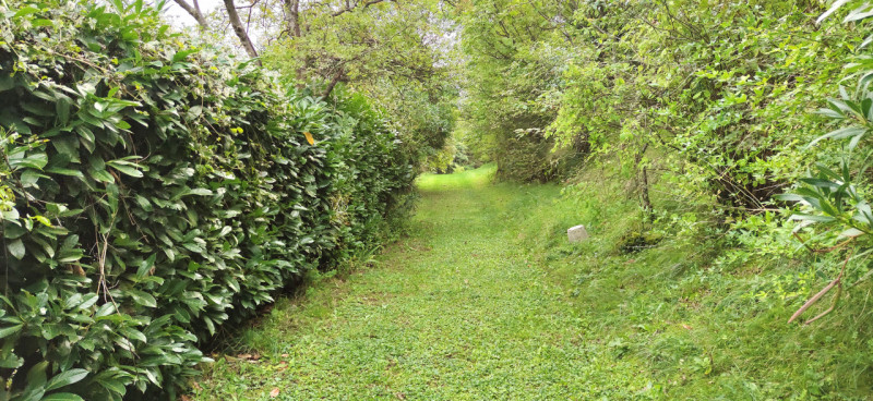 Incastonata nel cuore delle splendide colline di Castelgomberto, proponiamo in vendita una magnif...