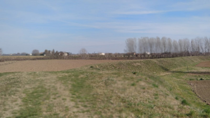 Zona Longare, proponiamo in vendita un immobile di ampie metrature, adatto anche a più nuclei fam...