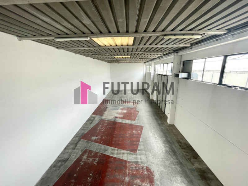 RIF:  080NM -  ALBIGNASEGO (PD) -  PER INFO 3403358378 - 0444/310220

Propongo in vendita un capa...