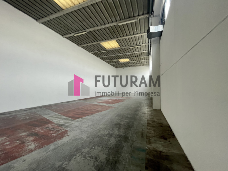 RIF:  080NM -  ALBIGNASEGO (PD) -  PER INFO 3403358378 - 0444/310220

Propongo in vendita un capa...