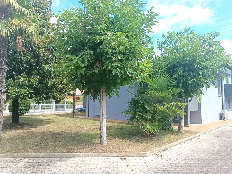 PALUELLO. Al confine con Dolo - Casa singola Euro 415.000. Classe energetica A2 con fotovoltaico ...