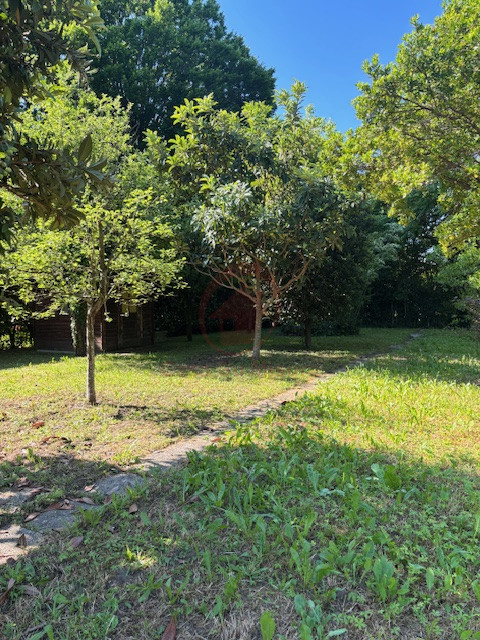 PADOVA, FORCELLINI RIF. A560: Casa Su Misura ha il piacere di proporVi spaziosissimo appartamento...